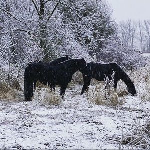 Meet your Posher, Kimberleigh